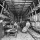 Image for article titled Utterly Disturbing, Century-Old Photos of Meat-Packing Facilities